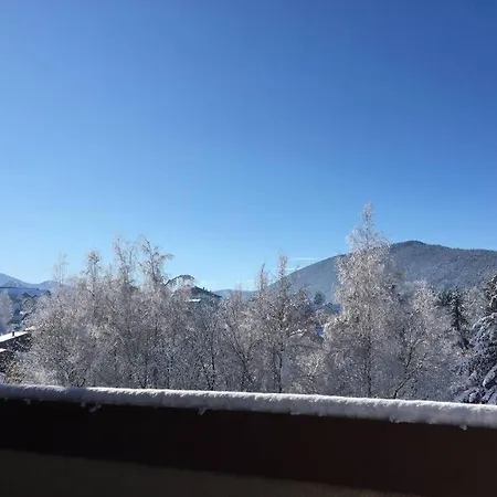 T2 Avec Terrasse Fitness Et Bien-Etre - Le Diamant Appartement Villard-de-Lans Buitenkant foto